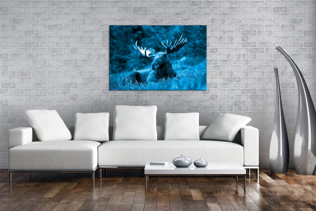 deyoli ruhig liegender Elch Format 120x80 Effekt: Monocrome Blau als Leinwandbild, Motiv fertig gera