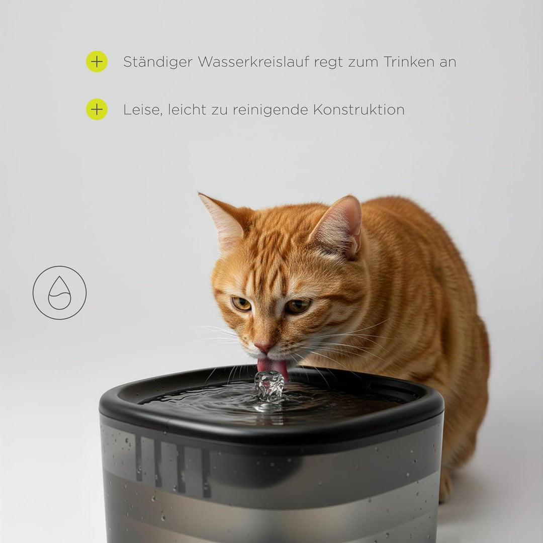 Peluvio Feast Automatischer Futterautomat Katze mit App und Kamera, Live-Video mit Nachtsicht und Zw