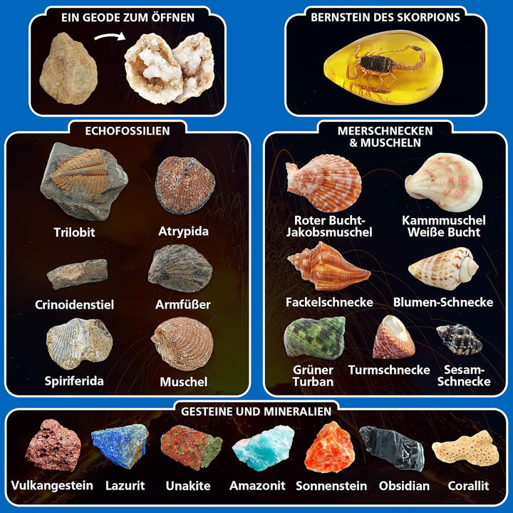 Fossilien &amp; Edelsteine Ausgrabungsset mit Vulkanexperiment, 20+ echte Funde (Geode, Muscheln, Meeres