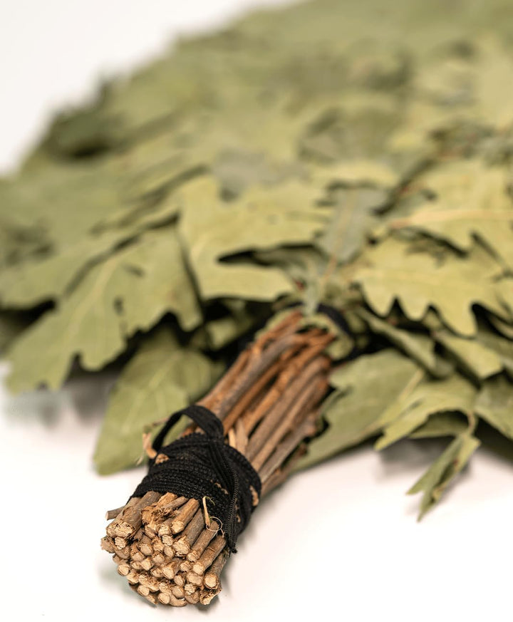 5St.Кaukasischer Eichenbesen Ausgewählt für Banja,| Venik|Wenik|Eichenreizig|Веник, Saunaquaste gesa