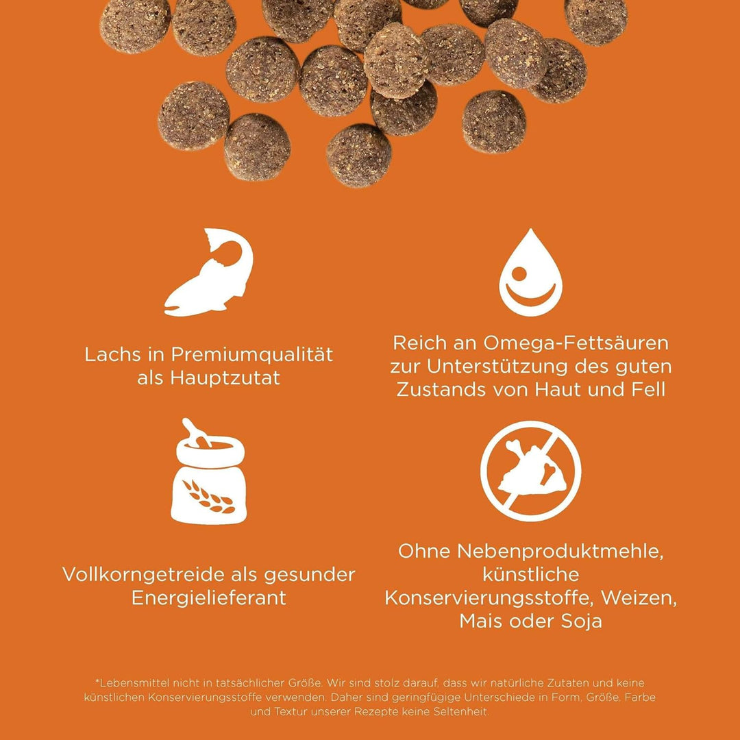 Go! Solutions Skin + Coat Care Getreidehaltige Rezeptur für Hunde Lachs, 1,6-kg-Beutel