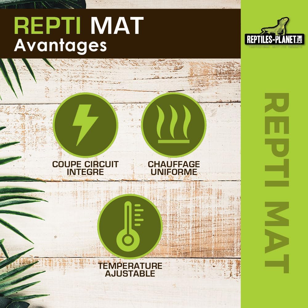 Reptiles Planet Heizmatte für Reptile matt 28 W 53 x 28 cm 53 x 28 cm (1er Pack), 53 x 28 cm (1er Pa