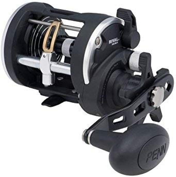 PENN Rival Level Wind Multirolle für Boote und Kajaks – Hochleistungs-Salzwasserrolle für Dorsch, Ba