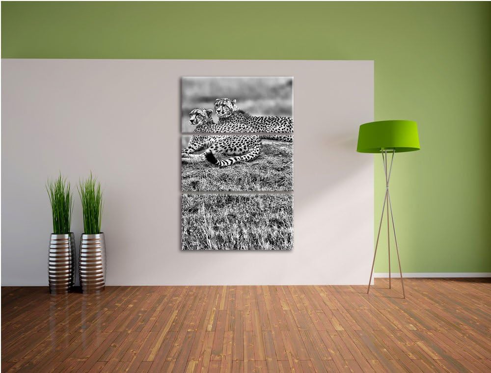 Pixxprint majestätische Geparden auf Stein als Leinwandbild/Grösse: 3 Teilig (120x80) cm/Wandbild/Ku