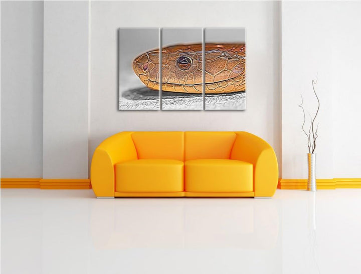 wachsame listige Natter schwarz/weiss Deluxe 3-Teiler Leinwandbild 120x80 Bild auf Leinwand, XXL rie