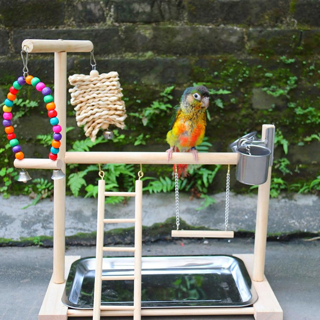 Vogel Spielplatz, Holz Wellensittich Spielplatz Freisitz mit 2 Edelstahl Feeder-Cup Spielzeug Leiter