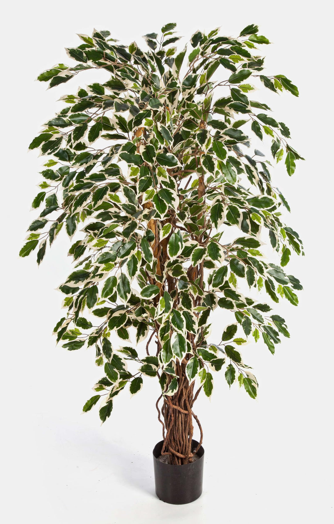 artplants.de Deko Ficus JARLAN, 430 Blätter und lianenartigem Stamm, grün-weiss, 120cm - Kunst Ficus