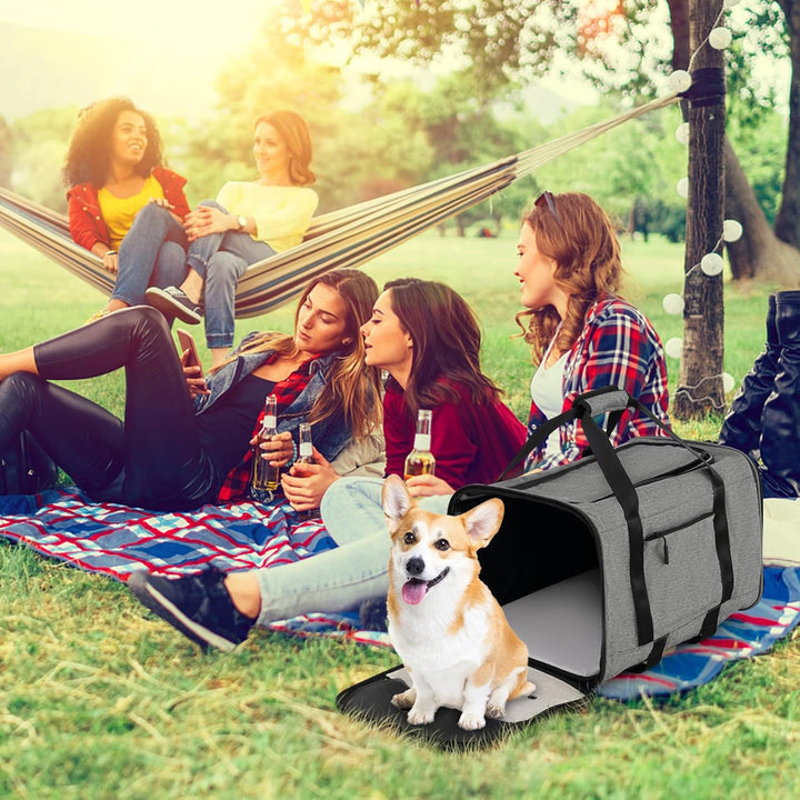 SORAS Transportbox Katze 57 x 34 x 34 cm, Flatbare Transporttasche für Hund mit Rädern, Teleskopgrif