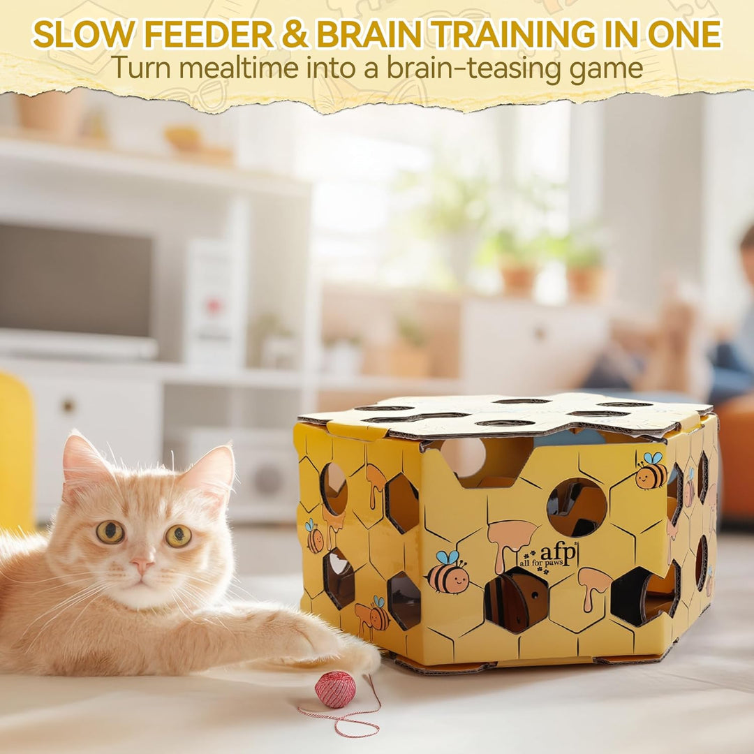 ALL FOR PAWS Katzen-Futter-Spielzeug, Interaktive Leckerli-Spielbox für Katzen, Futterlabyrinth-Box