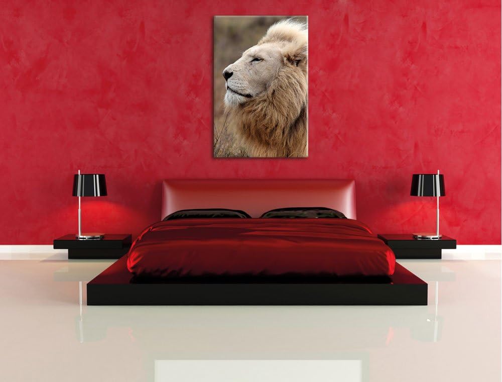 Weisser Löwe, Format: 80x120 auf hochkantiges Leinwand, XXL riesige Bilder fertig gerahmt mit Keilra