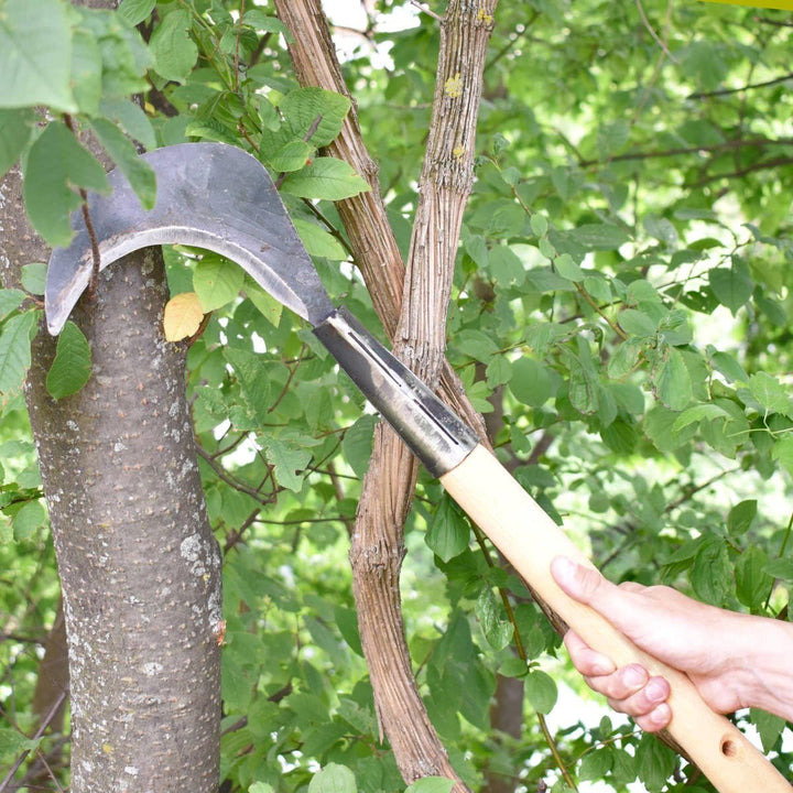 4betterdays.com NATURlich leben! Gartensichel/Sichel inkl. gratis Schleifstein mit Eschenholzstiel -