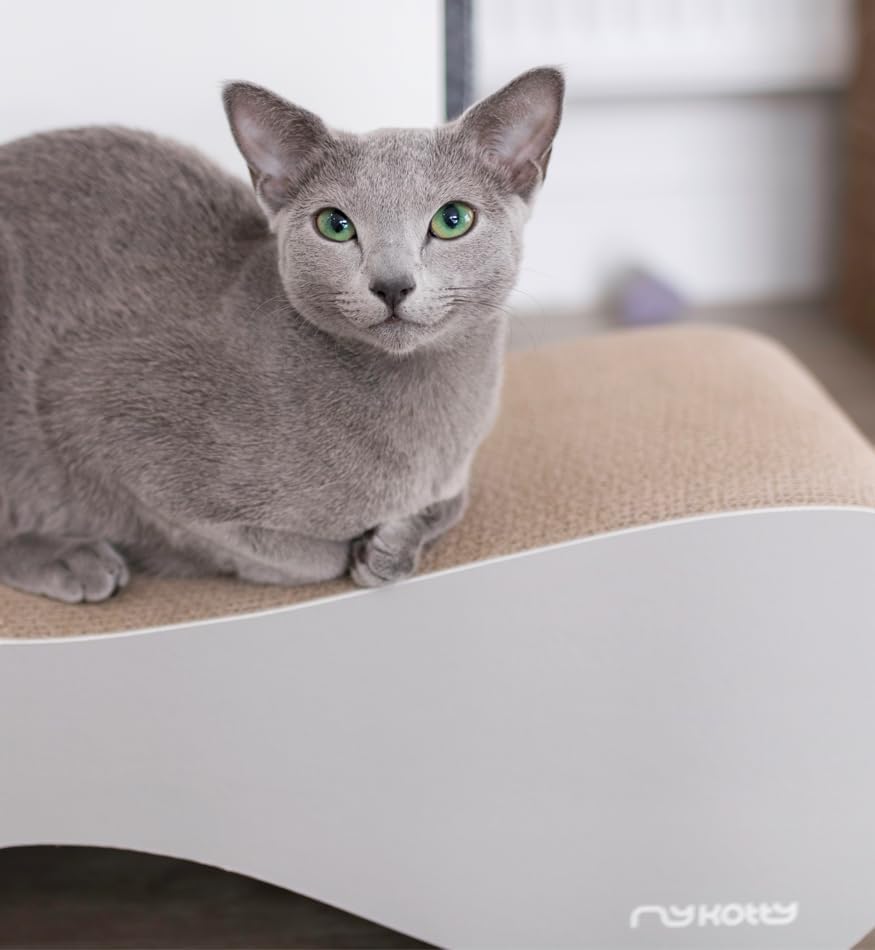 myKotty Stabile Kratzbank VIGO – Robustes Kratzmöbel für anspruchsvolle Katzen – Perfekt für Spielen