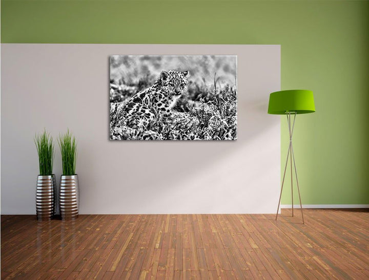 Pixxprint junger Leopard im Gras / 100x70cm Leinwandbild bespannt auf Holzrahmen/Wandbild Kunstdruck