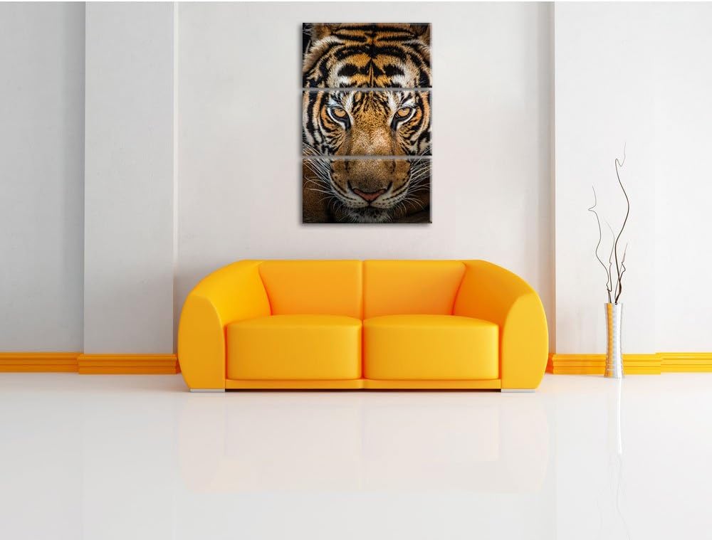 Pixxprint Tiger mit hellbraunen Augen als Leinwandbild | Grösse: 3 Teilig (120x80) | Wandbild| Kunst