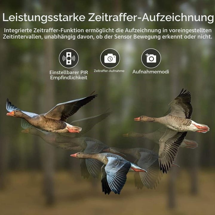 Wildkamera 50MP 4K, Wildtierkamera mit Bewegungsmelder Nachtsicht, 850nm IR LEDs Nachtsichtkamera, J