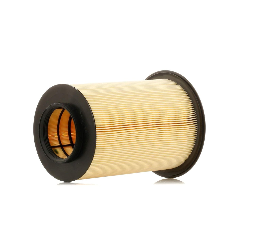 Mann-filter C 16 134/2 - Luftfilter & Innenraumfilter FP 25 007 – FreciousPlus Biofunktionaler Polle