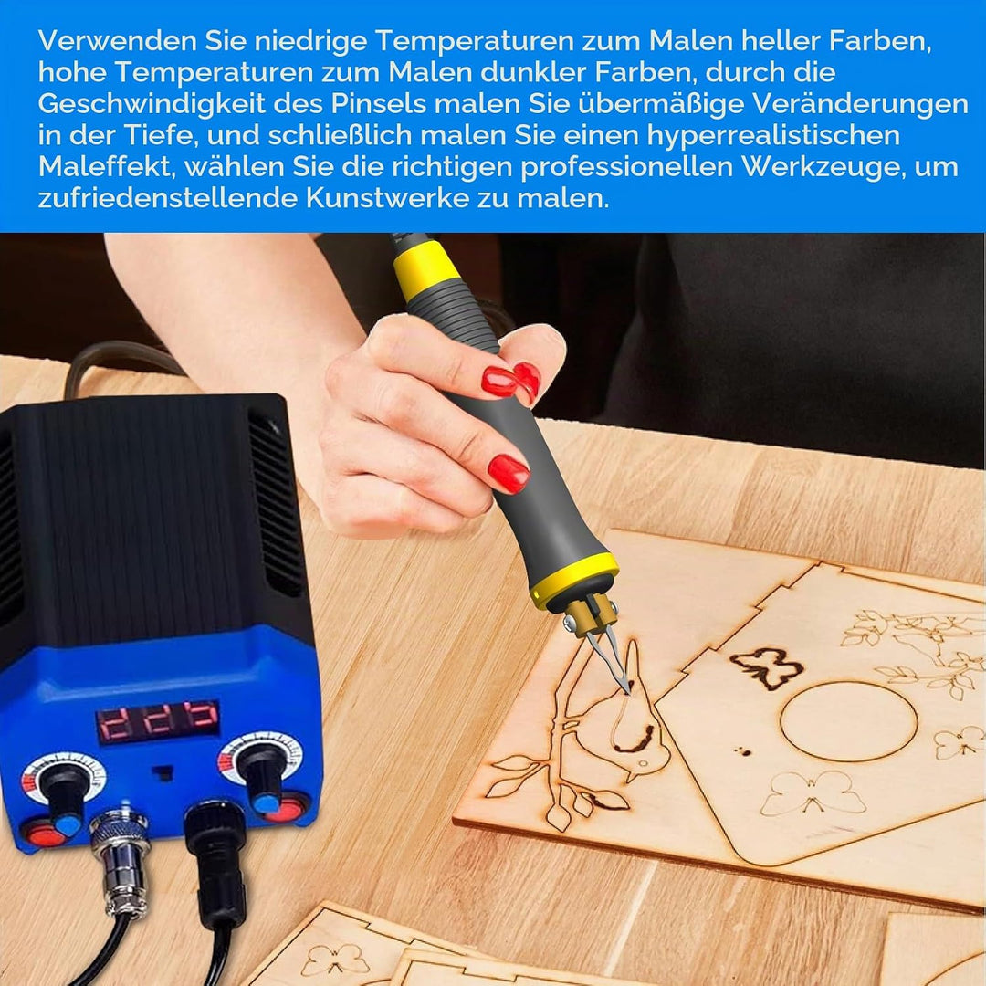 Doppelstift Brandmalerei Brennpeter für holz mit Digitalanzeig mit 2 Stiften und 30 Tlg Drahtspitzen