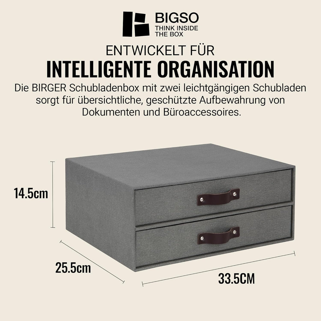 BIGSO BIRGER Schubladenbox – Aufbewahrungsbox mit 2 Schubladen – Schreibtisch Ablage für Dokumente &