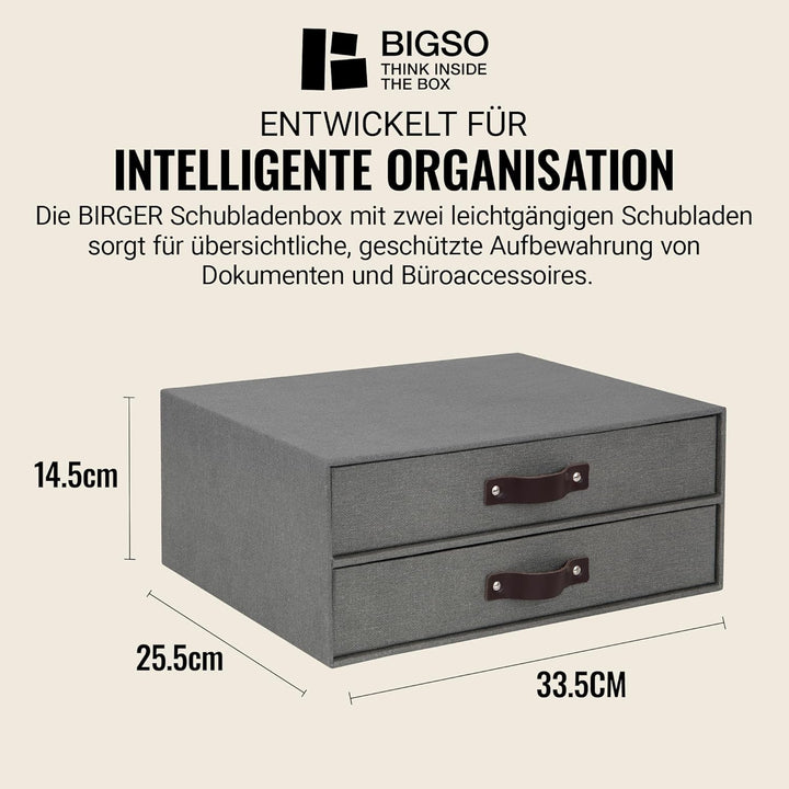 BIGSO BIRGER Schubladenbox – Aufbewahrungsbox mit 2 Schubladen – Schreibtisch Ablage für Dokumente &