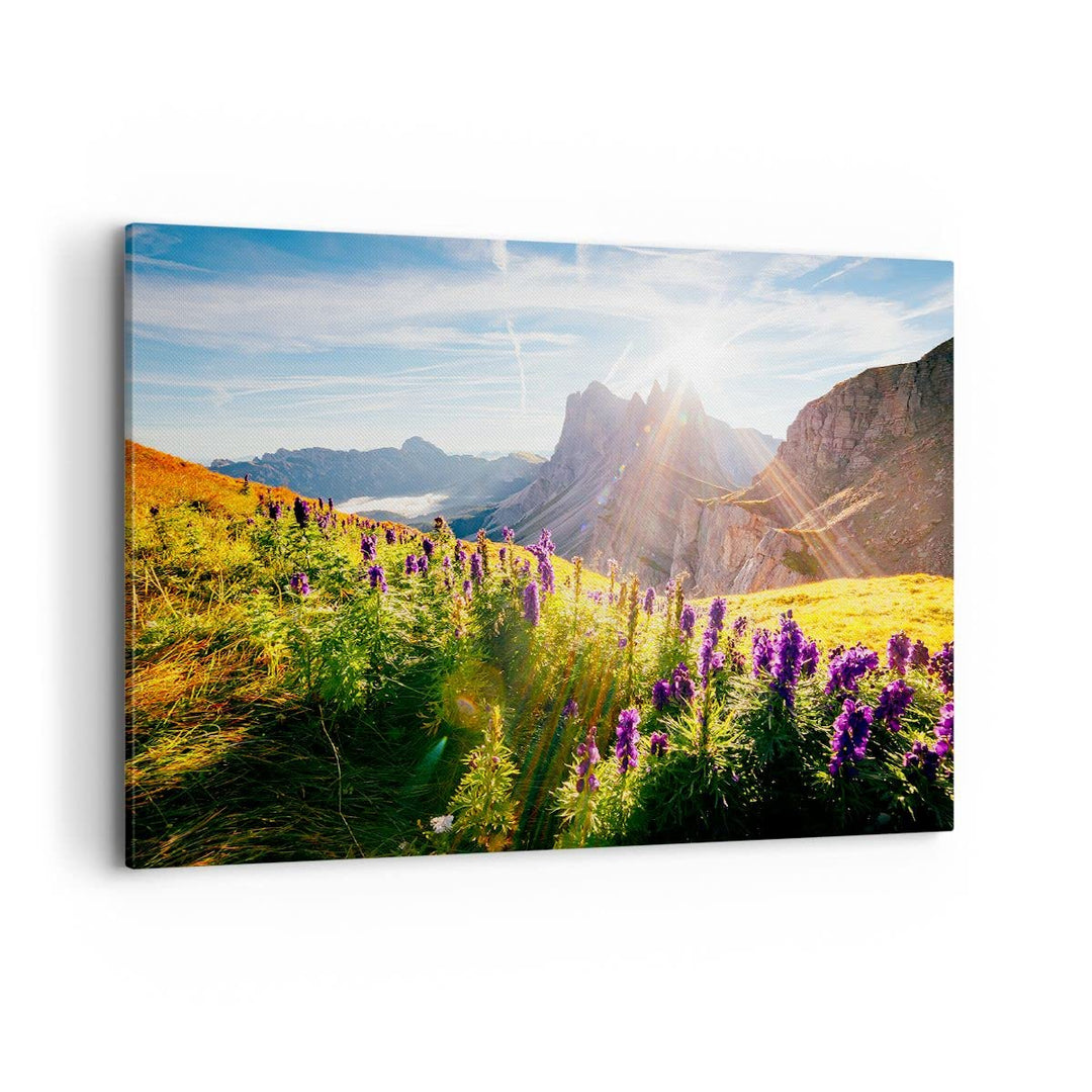 Bilder auf Leinwand 100x70cm Leinwandbild mit Rahmen Berge Wiese Blumen Gross Wanddeko Bild Schlafzi