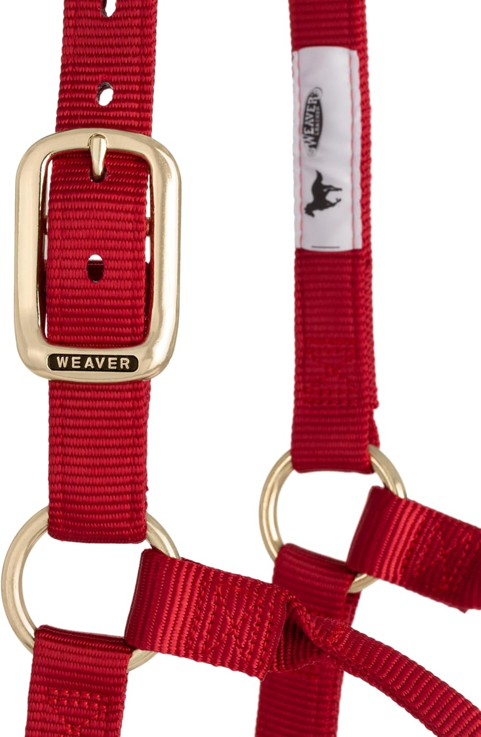 WEAVER Leather, Nicht verstellbares Halfter Rot/Ausflug, einfarbig (Getaway Solids) Average Horse, R