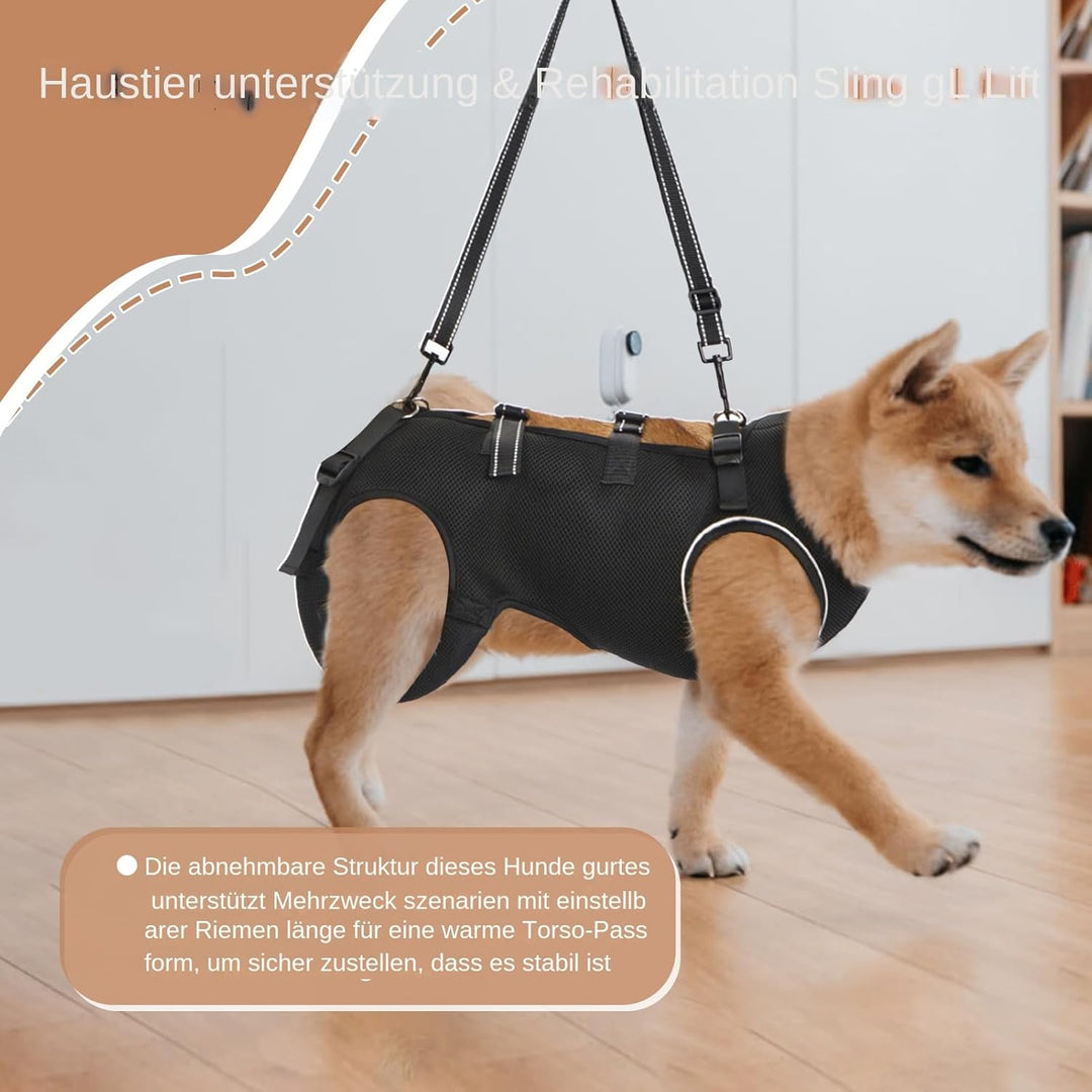 Hilfsgeschirr Für Seniorenhunde - Sanfter Rehabilitationsgurt Mit Stützfunktion - Atmungsaktives Ver