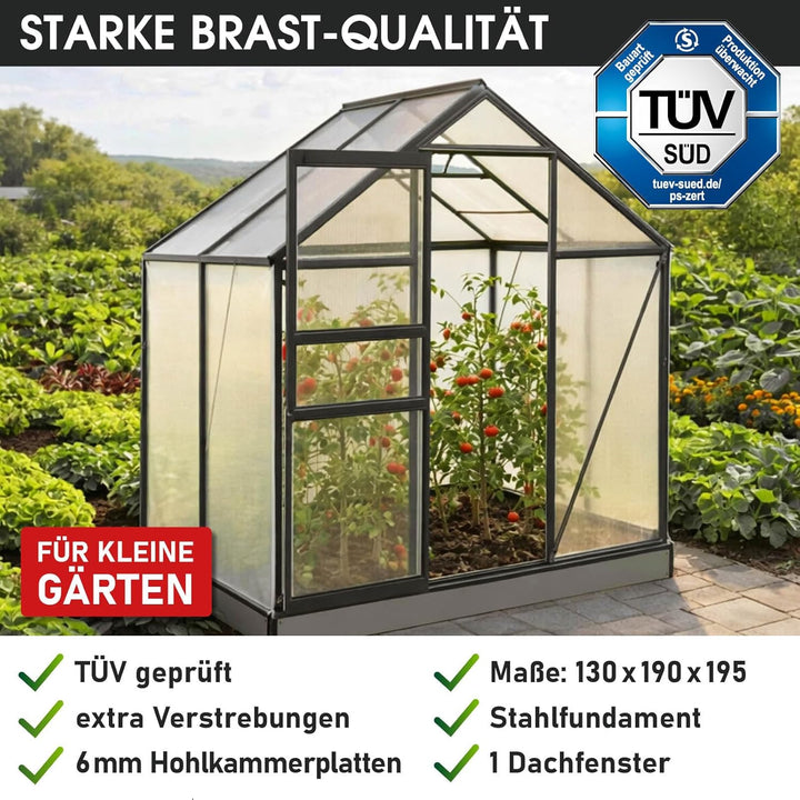 BRAST® Gewächshaus Aluminium mit Fundament rostfrei 40 Modelle 130x190x195cm - 490x250x235cm 6mm Pla
