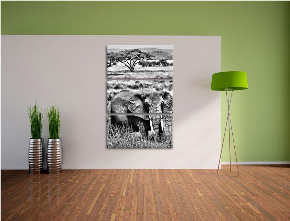 Pixxprint Elefant in der Savanne als Leinwandbild/Grösse: 3 Teilig (120x80) cm/Wandbild/Kunstdruck/f
