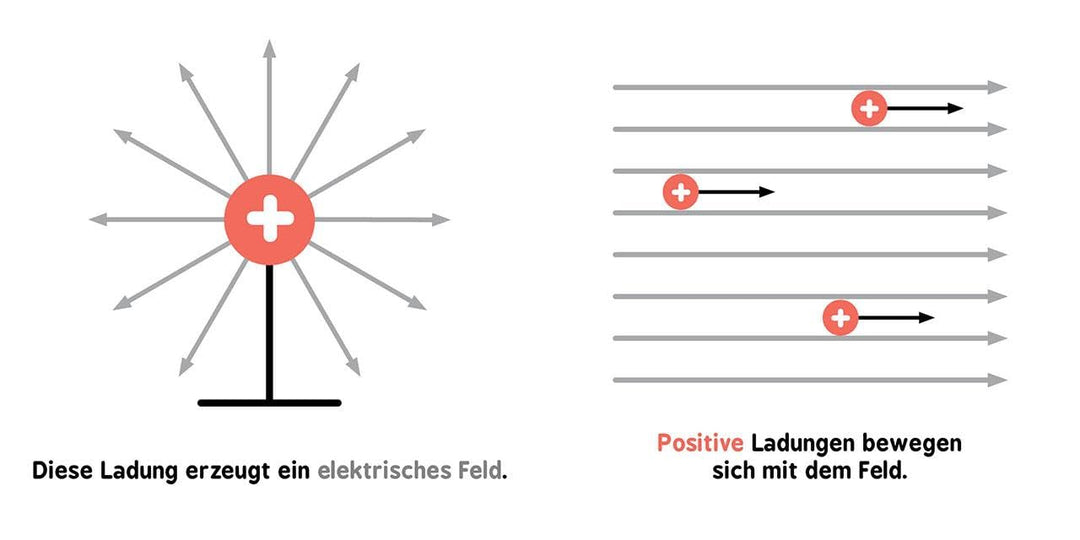 Baby-Universität - Elektromagnetismus für Babys: einfach erklärt, Pappband