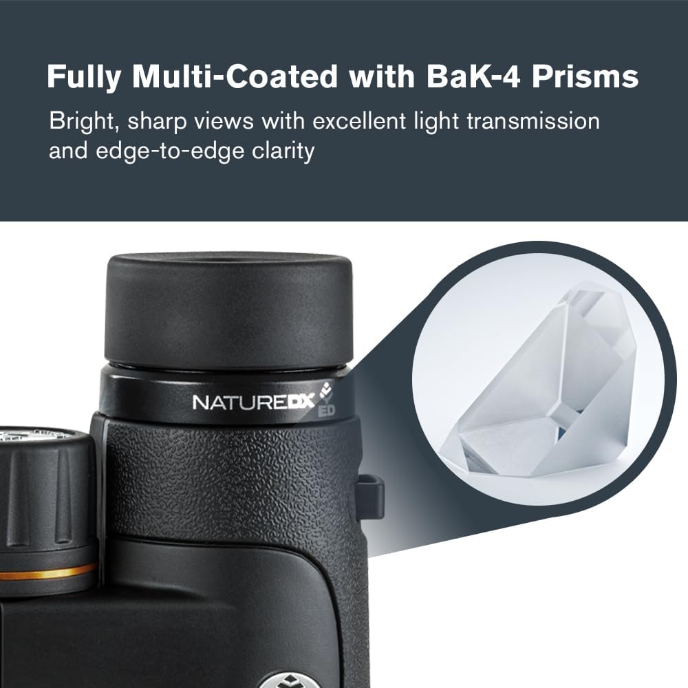 Celestron Nature DX ED 10x50 Binoculars - Premium Extra-Low Dispersion ED Glass Lenses, 10x50