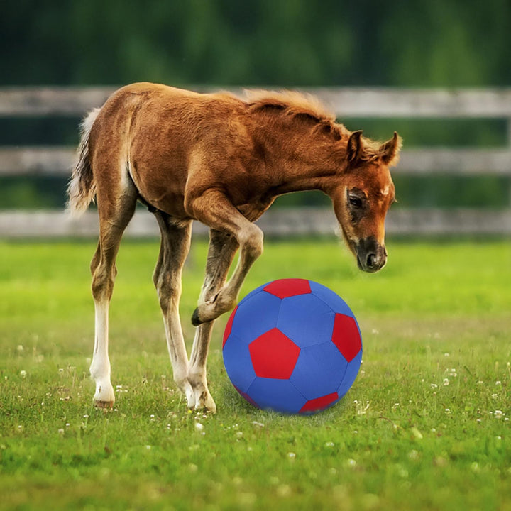 ANC POP Herding Ball für Hunde Pferdeball &amp; Ballhülle 63,5 cm Ball für Pferde gross mit Handpumpe zu