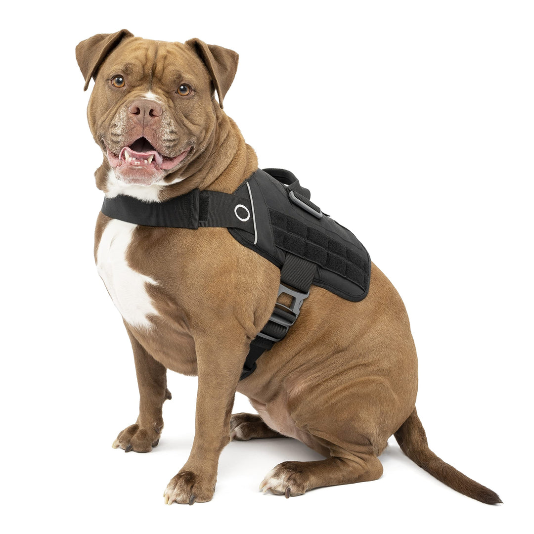 Kurgo RSG Townie Hundegeschirr, Einfaches Anlegen und Abnehmen, Einstellbare Brust- und Bauchgurte,