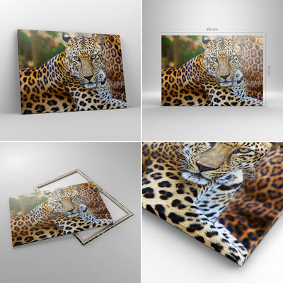 Bilder auf Leinwand 100x70cm Leinwandbild Leopardpanther Katze Tier Savanne Gross Wanddeko Bild Schl