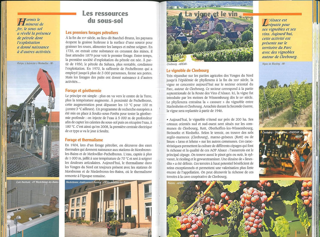 Vosges du Nord à pied PNR (Balades et randonnées), Taschenbuch