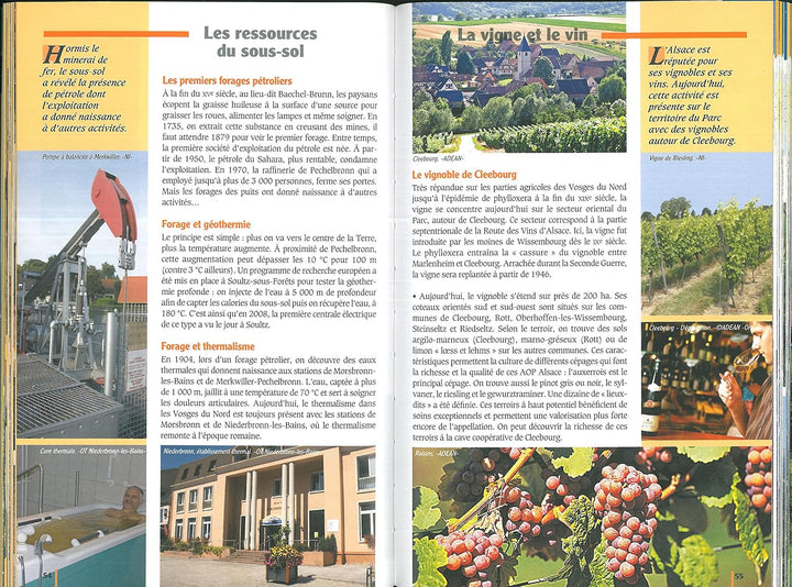Vosges du Nord à pied PNR (Balades et randonnées), Taschenbuch