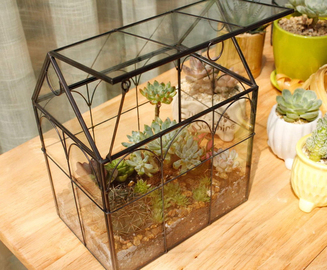 ElegantLife Geometrisches Terrarium aus Glas für Sukkulenten und Luftpflanzen (Keine Pflanze im Lief