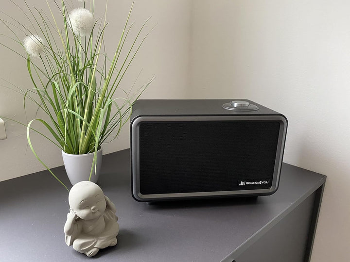 SCHWAIGER 661729 Moderner Retro Bluetooth Lautsprecher Modern-Vintage Speaker Lederoptik Holzgehäuse