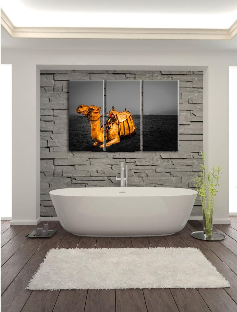 Pixxprint Kamel in Ägypten als Leinwandbild/Grösse: 3 Teilig (120x80 cm) cm/Wandbild/Kunstdruck/fert