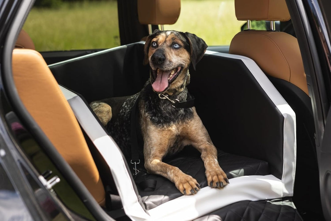 Autohundebett Hunde-Autositz Hundebett f. Rückbank Hundesitz Modulbett 55x70 cm (Farbe: schwarz-rot)