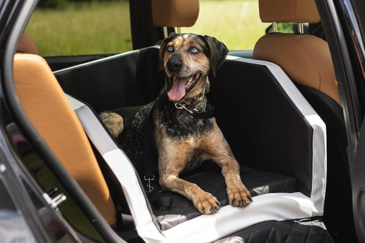 Autohundebett Hunde-Autositz Hundebett f. Rückbank Hundesitz Modulbett 55x70 cm (Farbe: schwarz-rot)