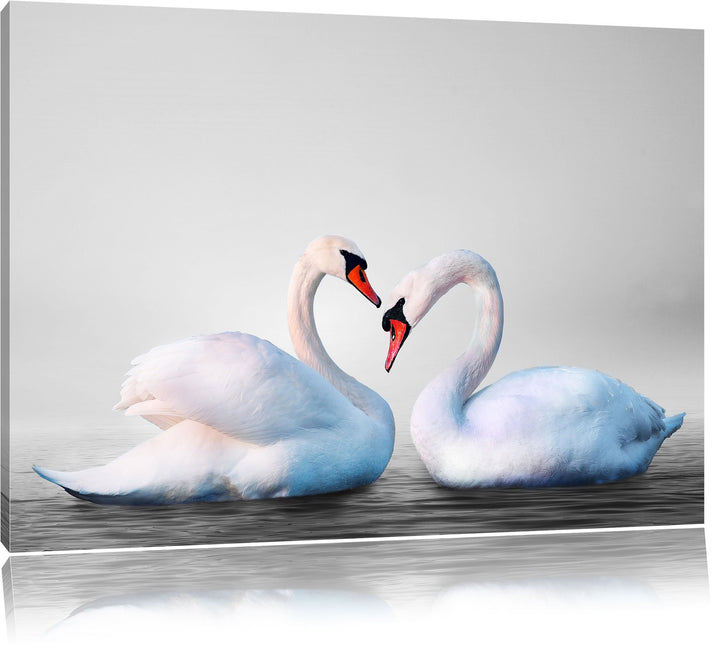 Pixxprint Schwäne auf dem Wasser als Leinwandbild/Grösse: 100x70 / Wandbild/Kunstdruck/fertig bespan