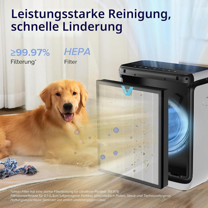 LEVOIT Luftreiniger Allergiker mit Tiermodus &amp; Luftreiniger HEPA Filter für Allergiker, Luftfilter g
