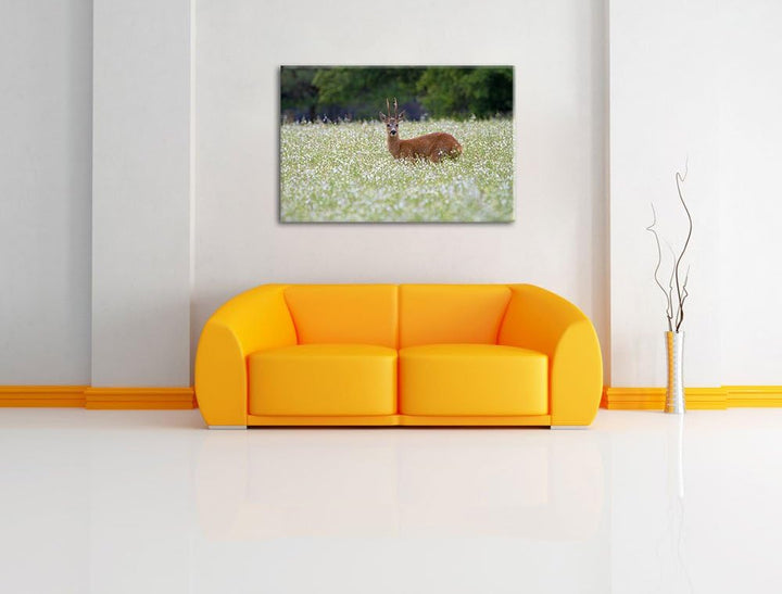 junger Hirsch auf Wildwiese Leinwand, XXL riesige Bilder fertig gerahmt mit Keilrahmen, Kunstdruck a