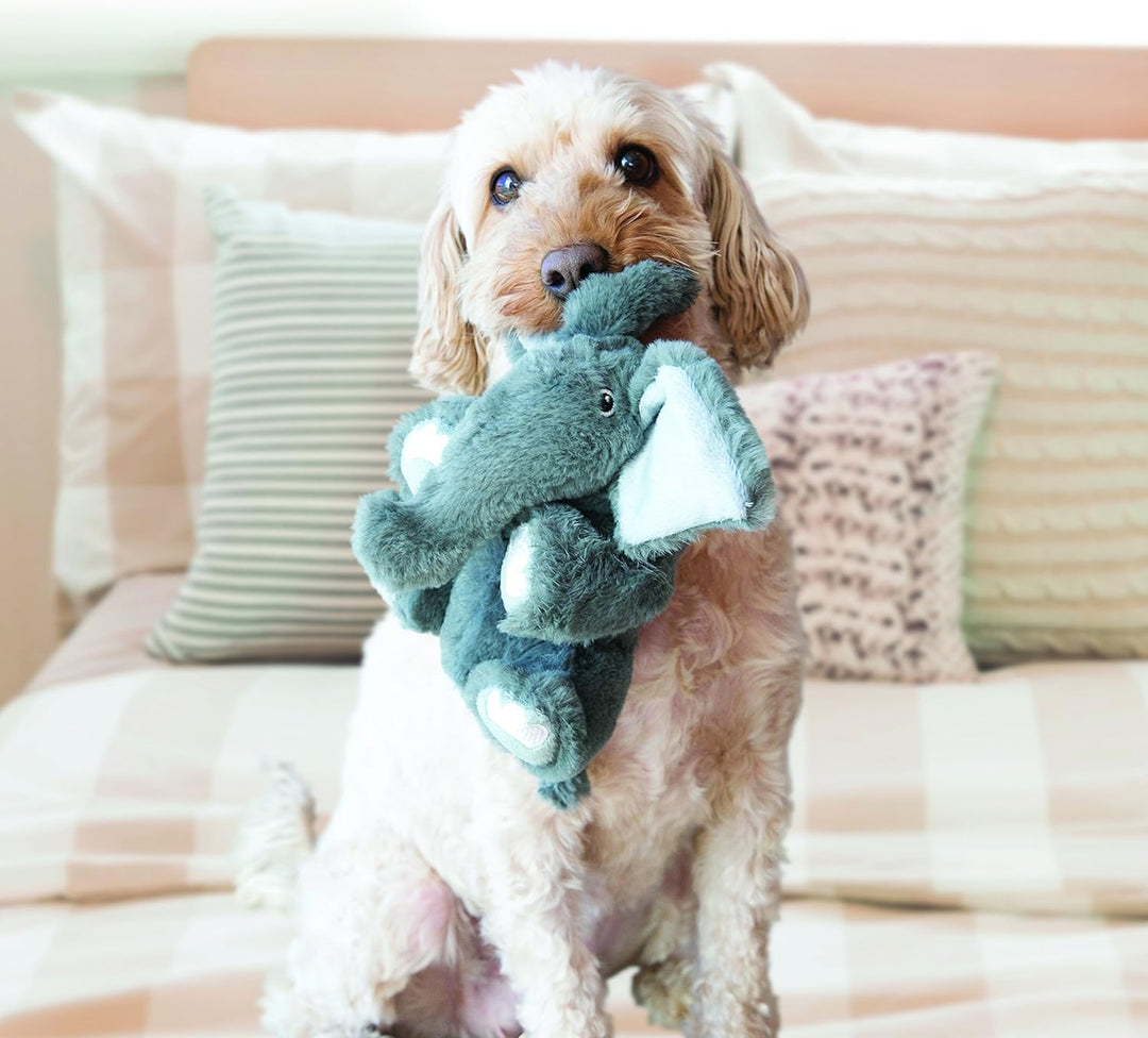 KONG – Comfort Kiddos Lion – Plüschtier mit Herausnehmbarem Quietscher – Für Grosse Hunde Löwe 1 Stü