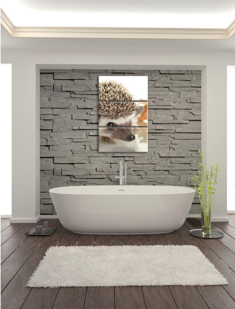 Pixxprint Süsser Igel 3-Teiler Leinwandbild 120x80 Bild auf Leinwand,