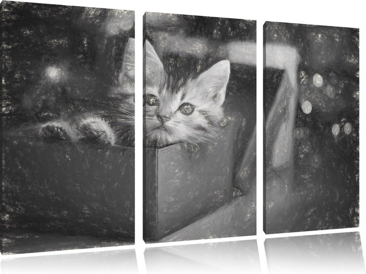 Pixxprint süsses Kätzchen in der Box Kunst Kohle Effekt 3-Teiler Leinwandbild 120x80 Bild auf Leinwa