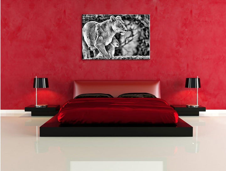Pixxprint Monocrome, Löwenmutter mit Jungtier, Format: 100x70 auf Leinwand, 100x70