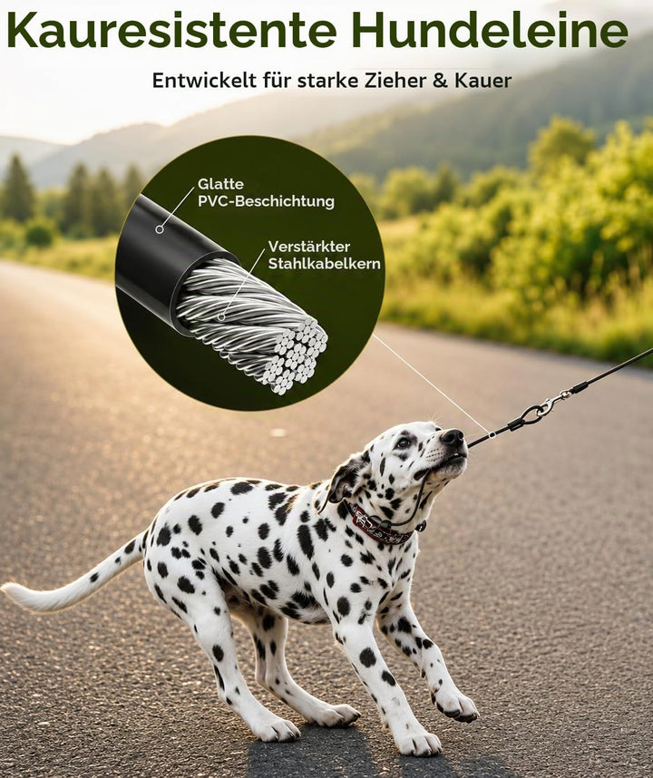 Einziehbare Hundeleine 8m für Mittelgrosse &amp; Grosse Hunde bis 50kg | Bissfeste Stahlseil Leine mit K