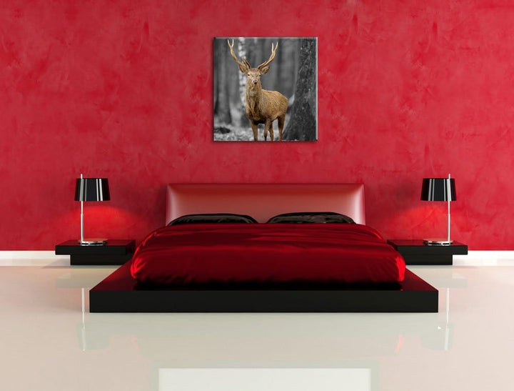 Pixxprint Schöner Hirsch im Wald Schwarz/Weiss, Format: 70x70 auf Leinwand, 70x70