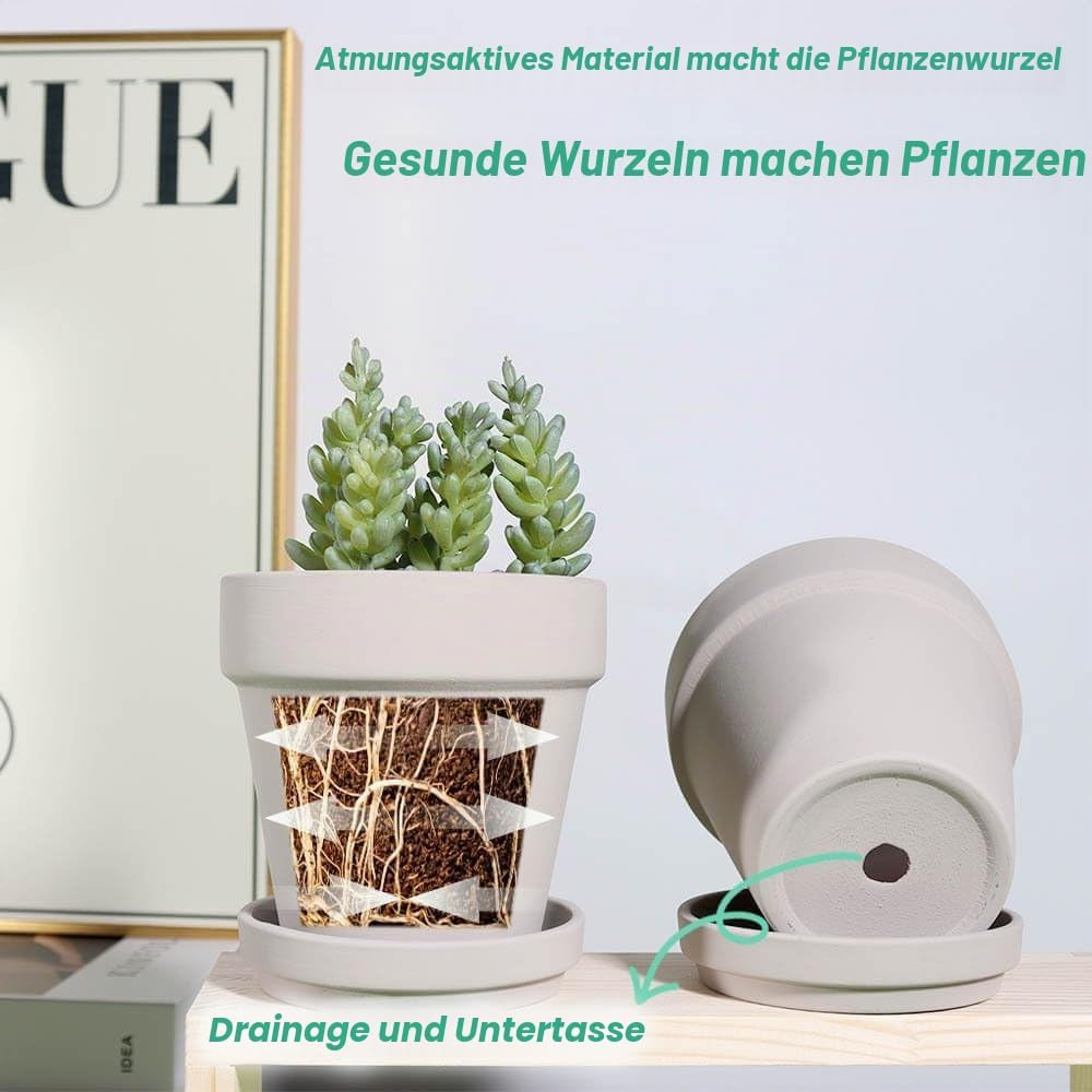 vensovo 10,2cm Grauer Tontopf für Pflanzen mit Untertasse - 6er Pack Kleiner Terrakotta-Pflanzentopf